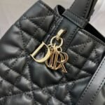 Dior Bag Toujours 23*14*12cm