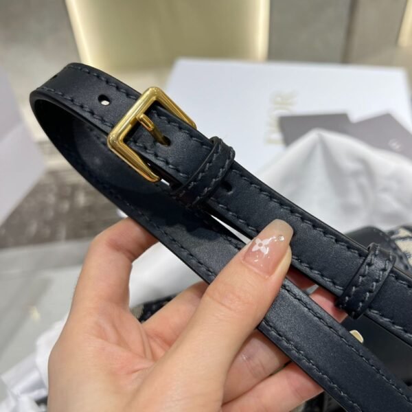 Dior Bag CD  25*16.5*8cm