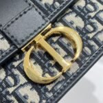 Dior Bag CD  21.5*12*6cm