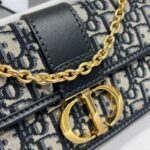 Dior Bag CD  21.5*12*6cm