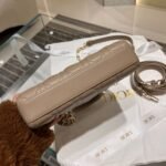 Dior Bag D-joy  22*12*6cm Khaki