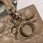 Dior Bag D-joy  22*12*6cm Khaki