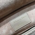 Dior Bag D-joy  22*12*6cm Khaki