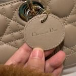Dior Bag D-joy  22*12*6cm Khaki