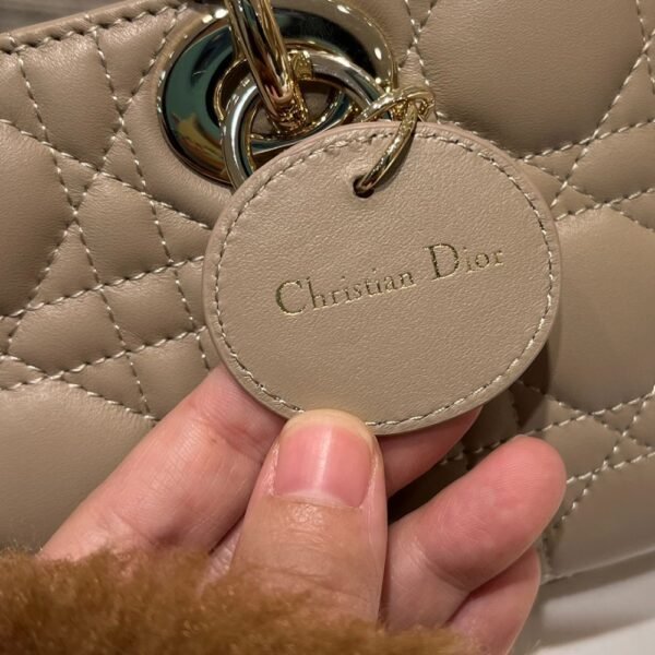 Dior Bag D-joy  22*12*6cm Khaki