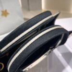 Dior Bag Book Tote 36cm Constellation