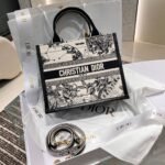 Dior Bag Book Tote 26cm Constellation