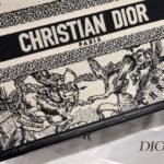 Dior Bag Book Tote 26cm Constellation
