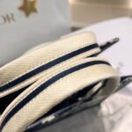 Dior Bag Book Tote 26cm Blue Tiger