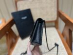 YSL Bag Woc 393953 19x11.5x4cm Black
