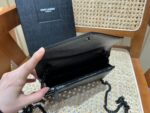 YSL Bag Woc 393953 19x11.5x4cm Black