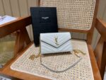 YSL Bag Woc 393953  19x11.5x4cm Gold