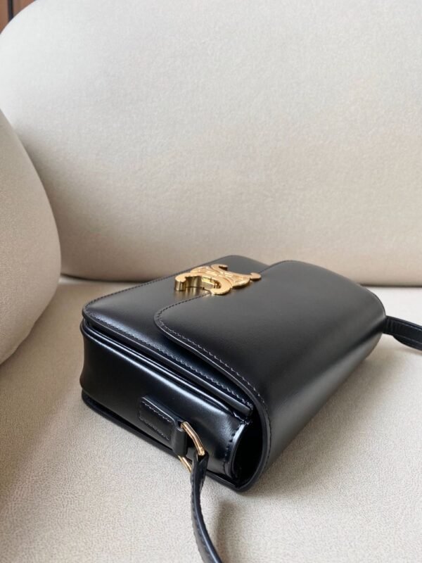 Celine Bag Triomphe Teen  666S 18.5cm Black