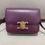 Celine Bag Triomphe Teen 666S 18.5cm Purple