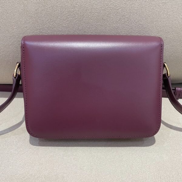 Celine Bag Triomphe Teen 666S 18.5cm Purple