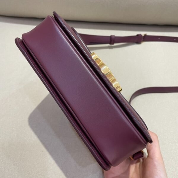 Celine Bag Triomphe Teen 666S 18.5cm Purple