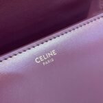 Celine Bag Triomphe Teen 666S 18.5cm Purple