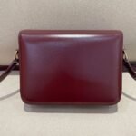 Celine Bag Triomphe Teen 666S 18.5cm Wine Red