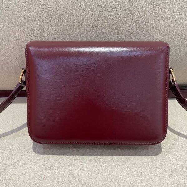 Celine Bag Triomphe Teen 666S 18.5cm Wine Red