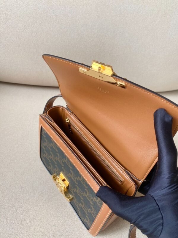 Celine Bag Triomphe Teen  666S 18.5cm  Old Brown