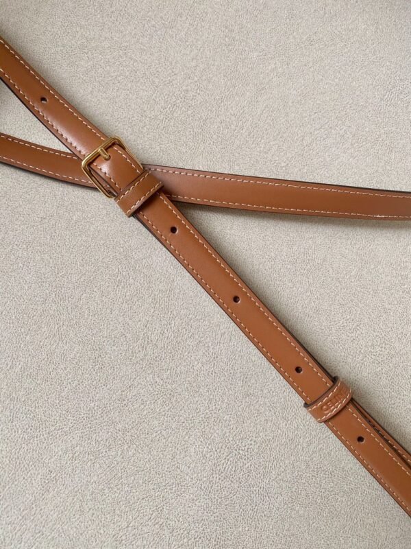 Celine Bag Triomphe Teen 666S 18.5cm White Old Brown