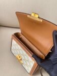 Celine Bag Triomphe Teen 666S 18.5cm White Old Brown