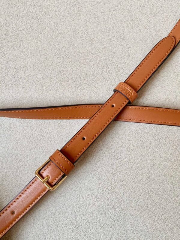 Celine Bag Triomphe Teen 666S 18.5cm Yellow Brown