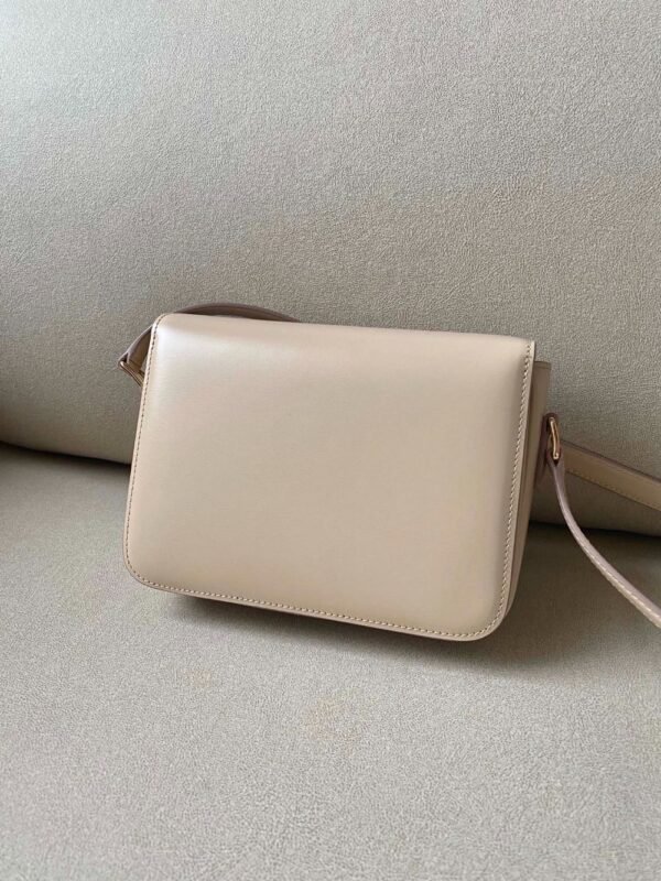 Celine Bag Triomphe Teen  666S 18.5cm Rose