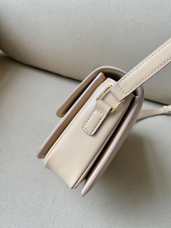 Celine Bag Triomphe Teen  666S 18.5cm Rose