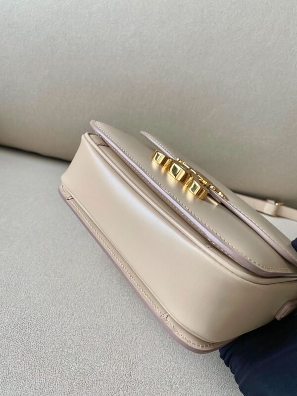 Celine Bag Triomphe Teen  666S 18.5cm Rose