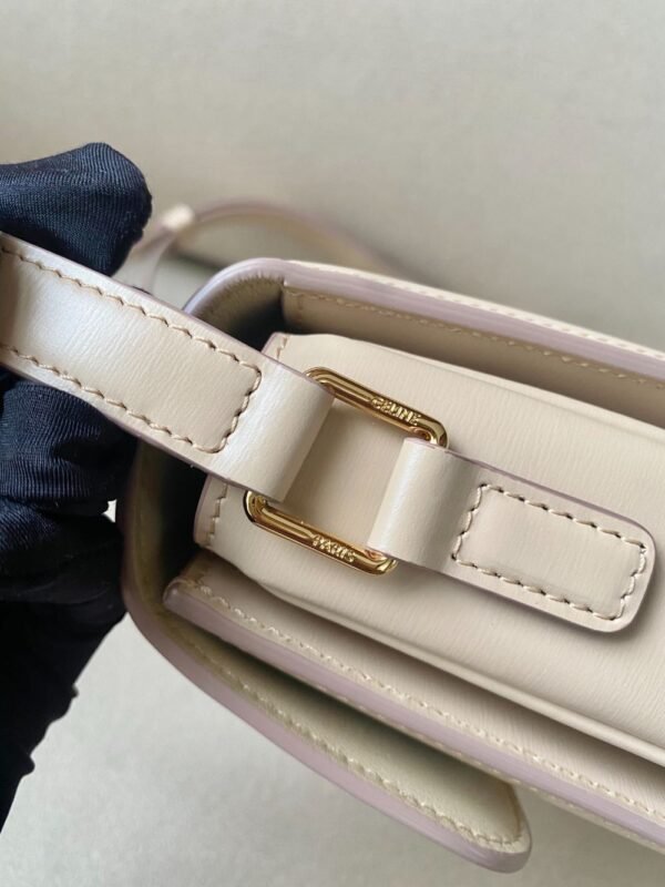 Celine Bag Triomphe Teen  666S 18.5cm Rose