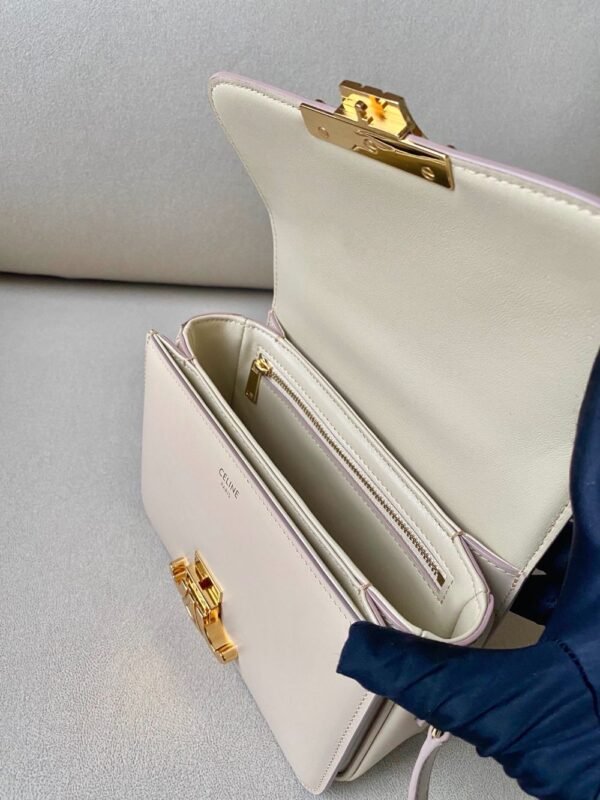 Celine Bag Triomphe Teen  666S 18.5cm Rose