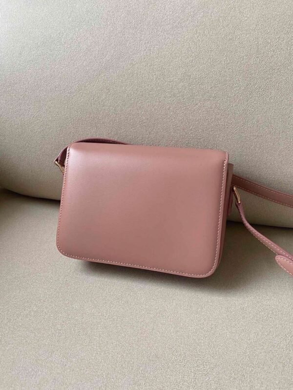 Celine Bag Triomphe Teen  666S 18.5cm Pink