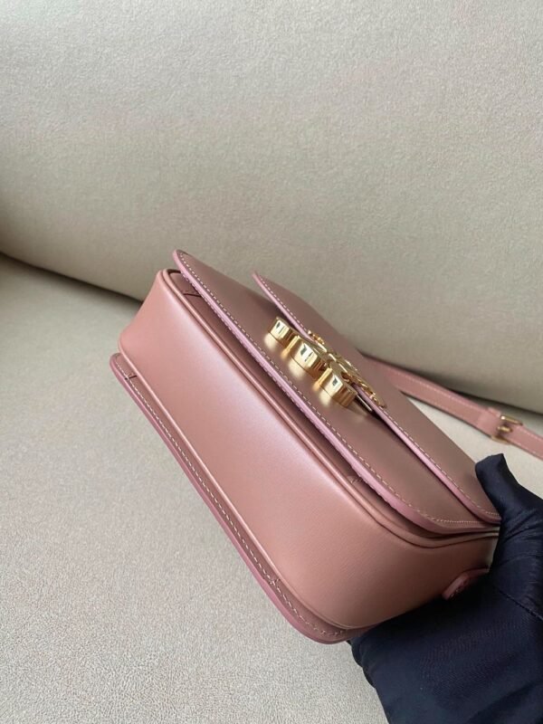 Celine Bag Triomphe Teen  666S 18.5cm Pink