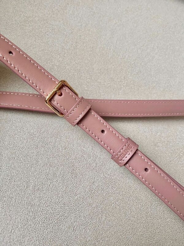 Celine Bag Triomphe Teen  666S 18.5cm Pink