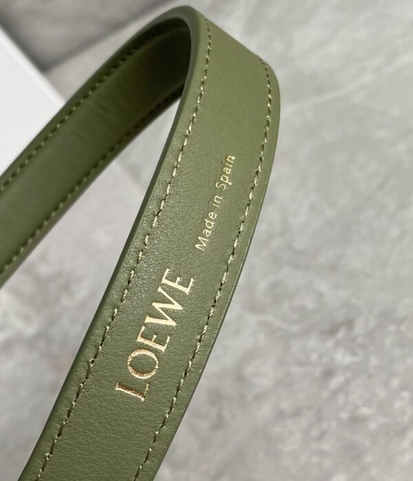 Loewe Bag Cubi  Green