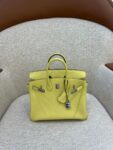 Hermes Bag  Birkin25 Yellow