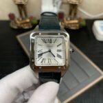 Cartier SANTOS WSSA0032