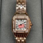 Cartier PANTHÈRE DE CARTIER WGPN0007