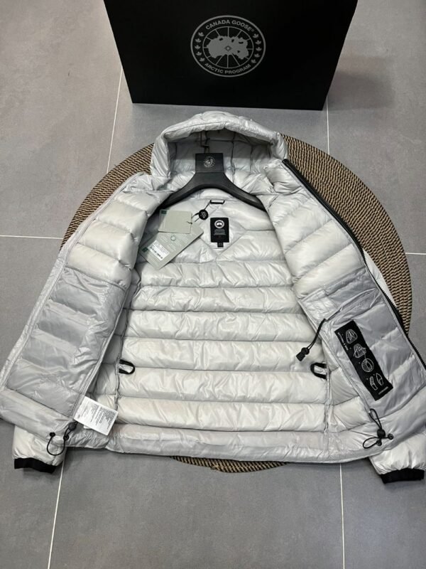 Canada Goose  2227 Grey