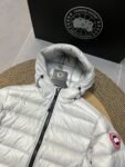 Canada Goose  2227 Grey