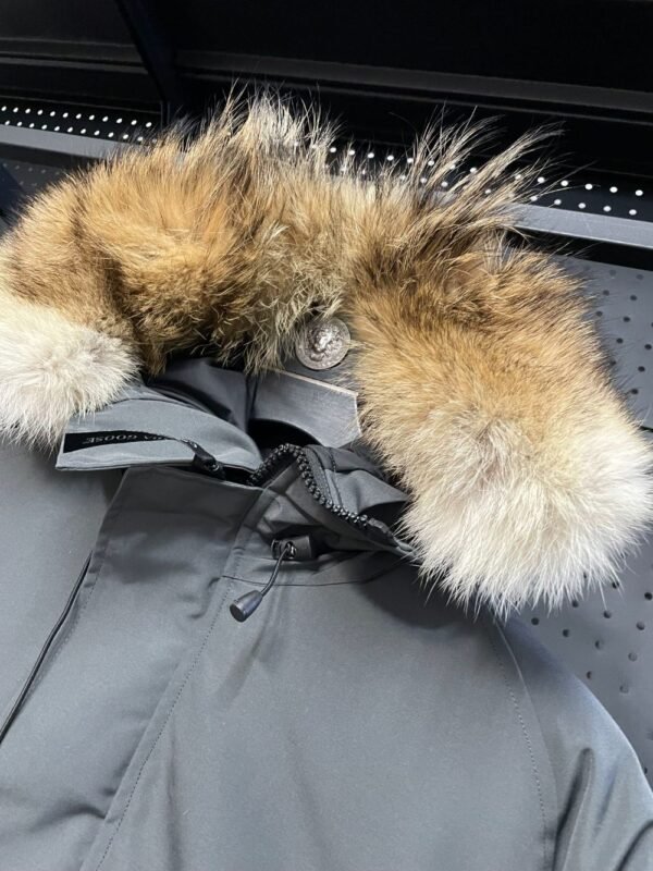 Canada Goose  Chilliwack 7999M  Grey