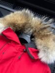Canada Goose  Chilliwack 7999M  Red