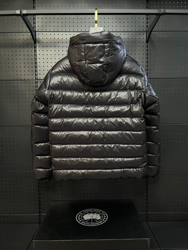 Canada Goose  2227 Grey