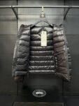 Canada Goose  2227 Grey