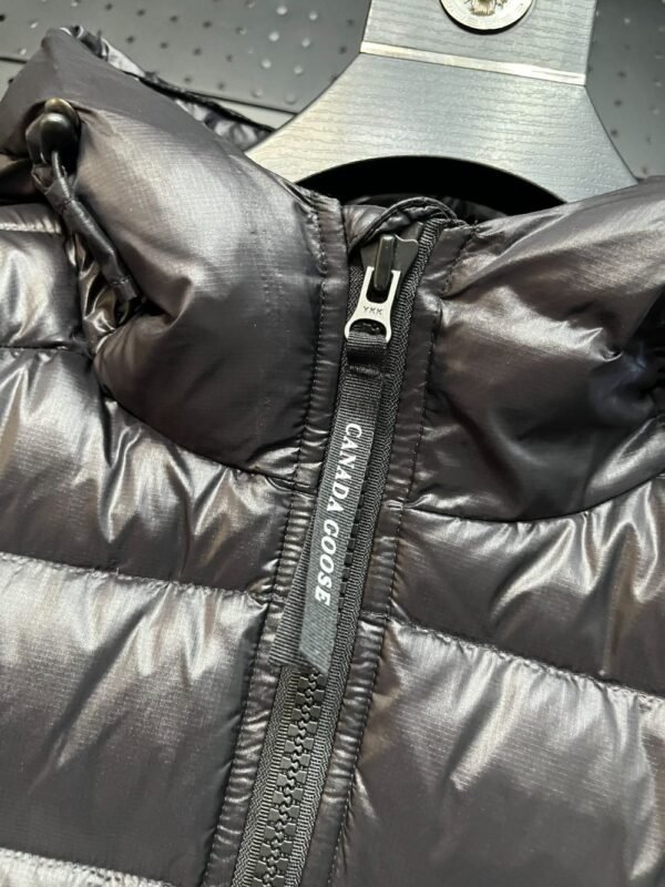 Canada Goose  2227 Grey