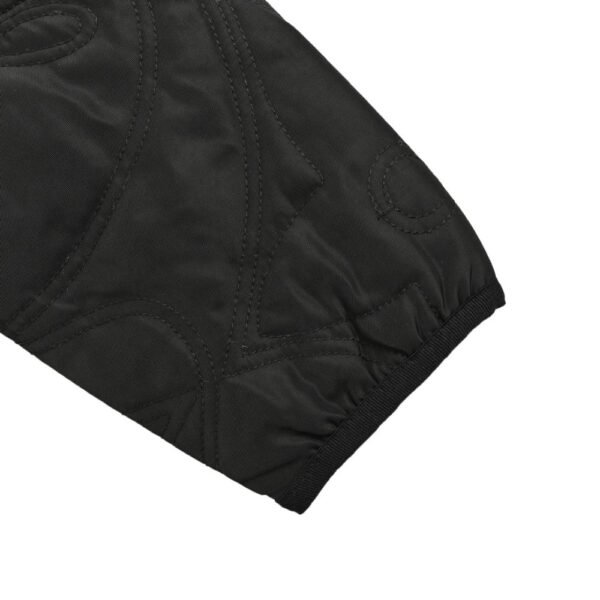 Louis Vuitton 24Fw Padded Jacket