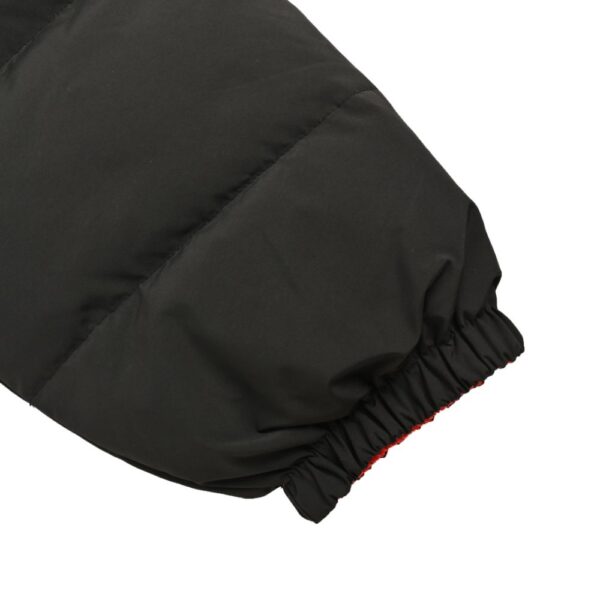 Balenciaga 24Fw Wide turtleneck down jacket