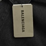 Balenciaga  24Fw all over print denim jacket