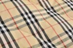 Burberry Double-sided hooded down jacket